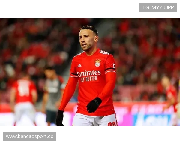 本菲卡进攻效率持续提升 盘口数据呈现利好趋势