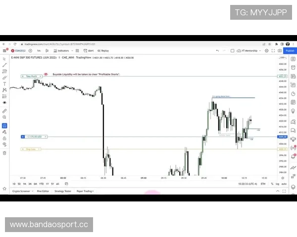最新数据网站推荐完整版盘口解析与实用指南汇总权威趋势分析大全